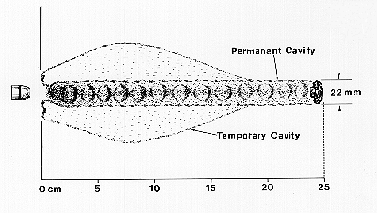 Cervix dilating for penetration